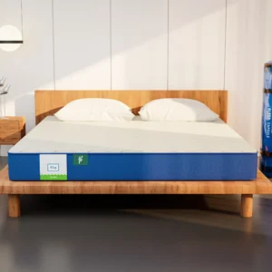 Flo Ergo Aloe Vera Infused Memory Foam Mattress with Motion Isolation Technology